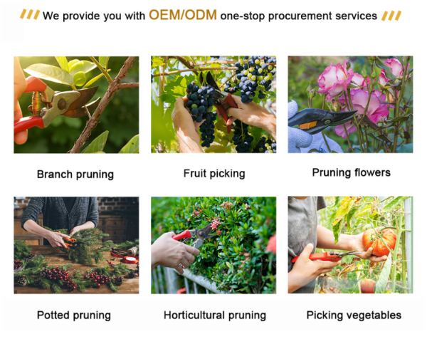 Professional garden tools thickened SK5 tree shears strong garden pruning scissors high quality potted pruning shears