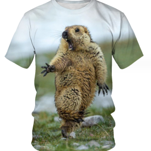 (rat)Breathable 3D Printing Foreign Trade Men's Personalized Short Sleeve Round Neck T-shirt