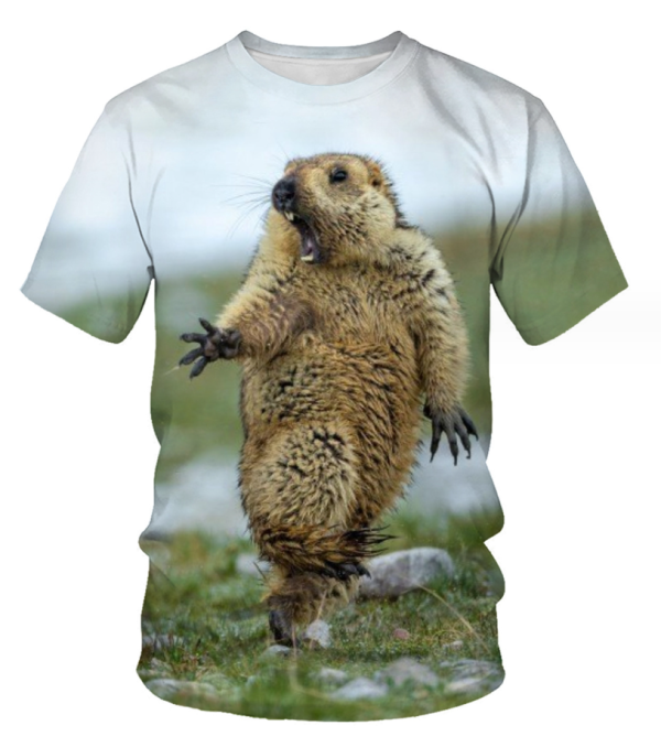(rat)Breathable 3D Printing Foreign Trade Men's Personalized Short Sleeve Round Neck T-shirt